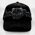 Money Black Bear