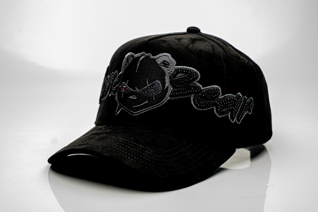 Money Black Bear