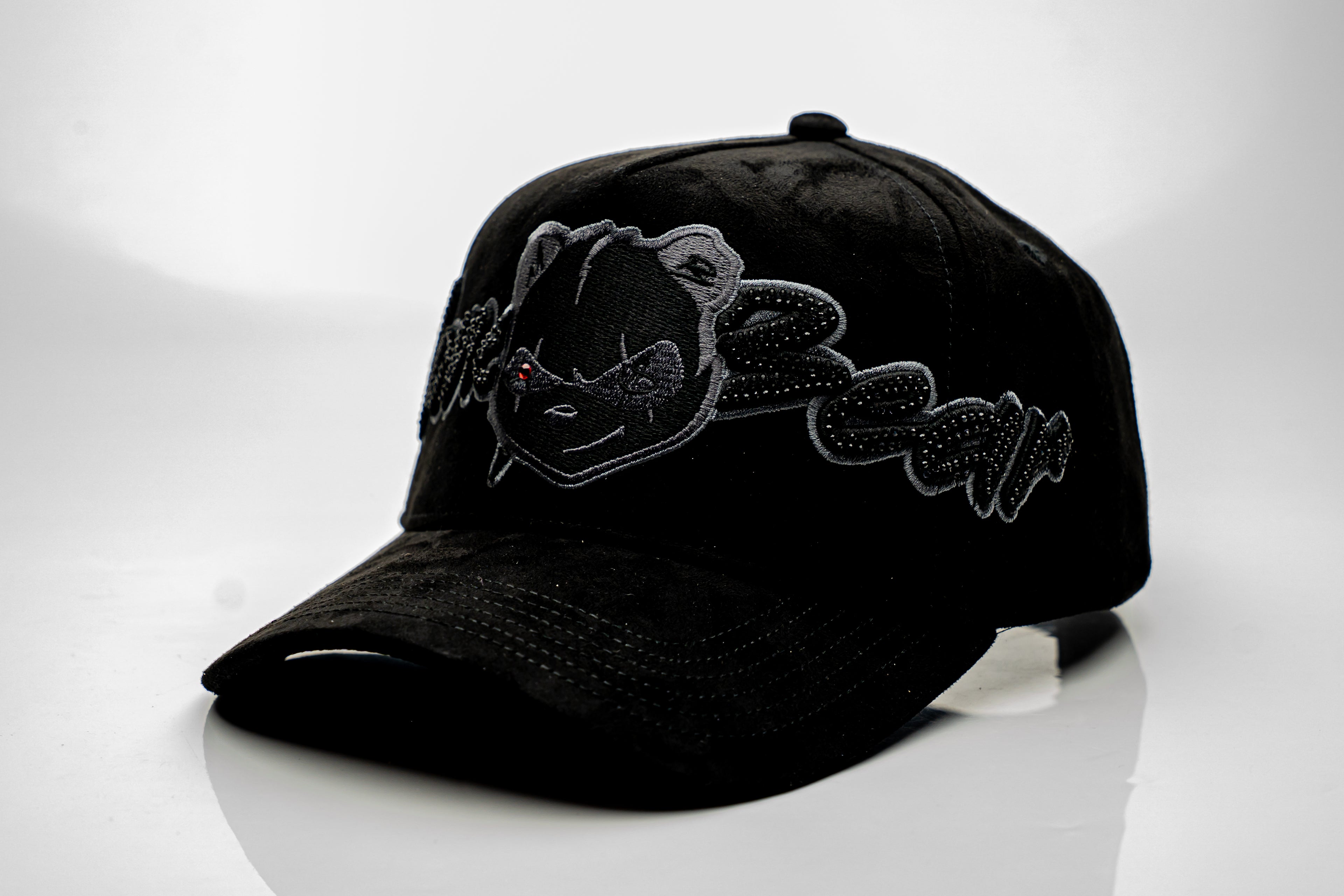 Money Black Bear