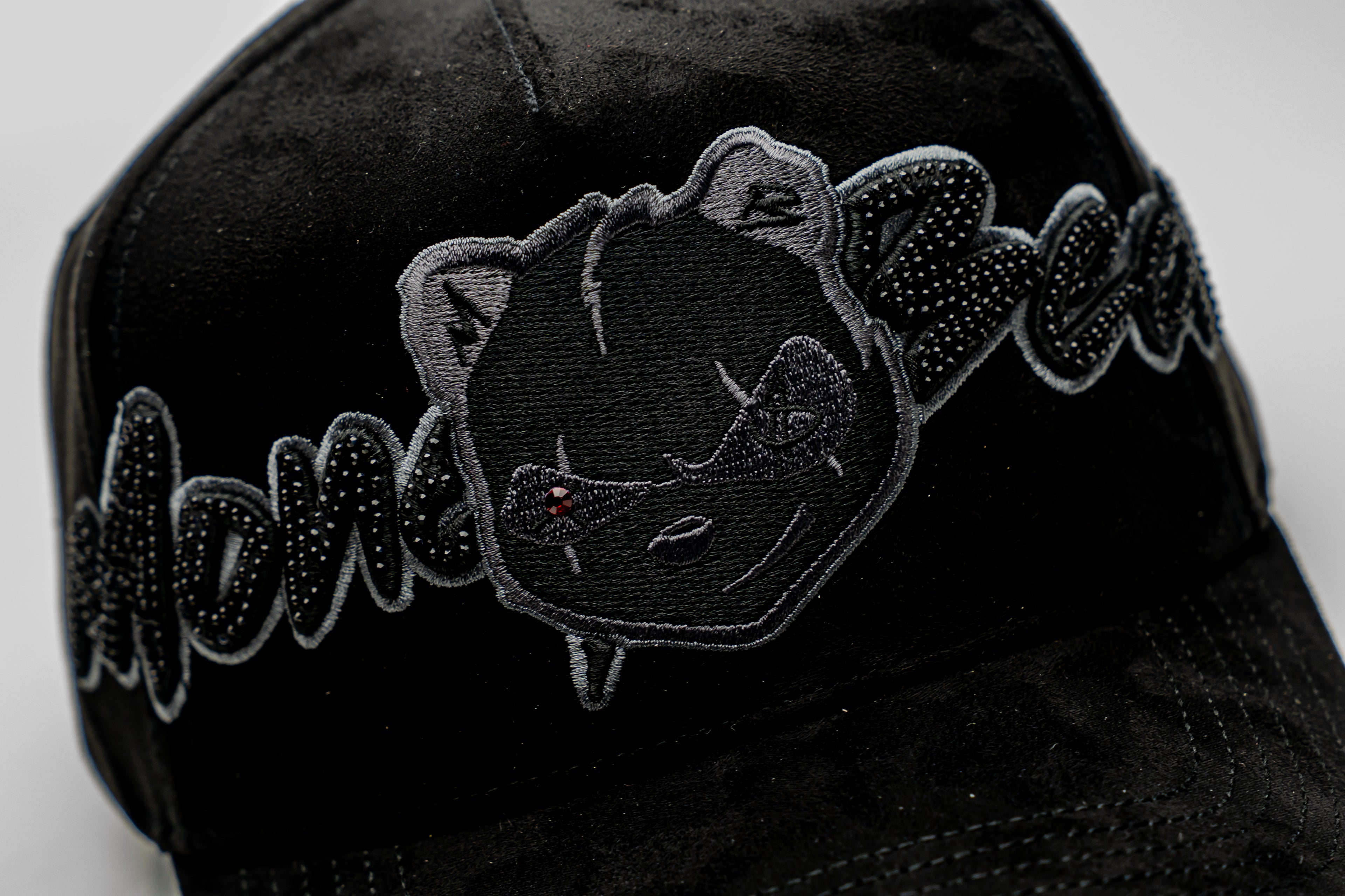 Money Black Bear